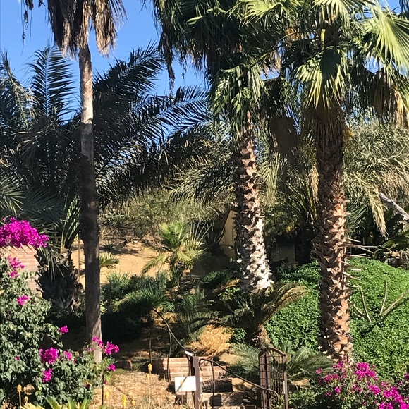 Meet your Posher, Virginia - Picture 5 of 7